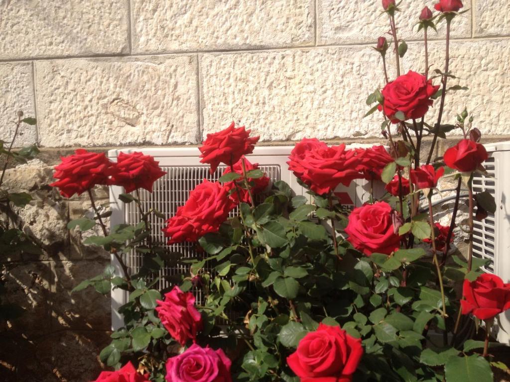 Apartment Flora Dubrovnik Kültér fotó